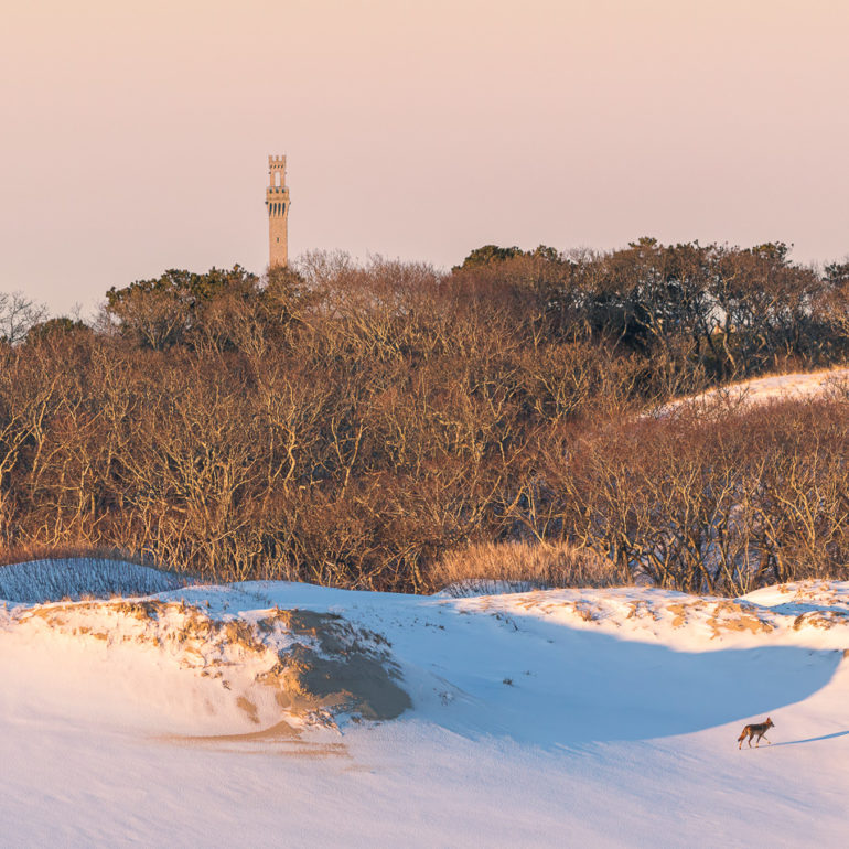 Sangram Kachwaha Photography