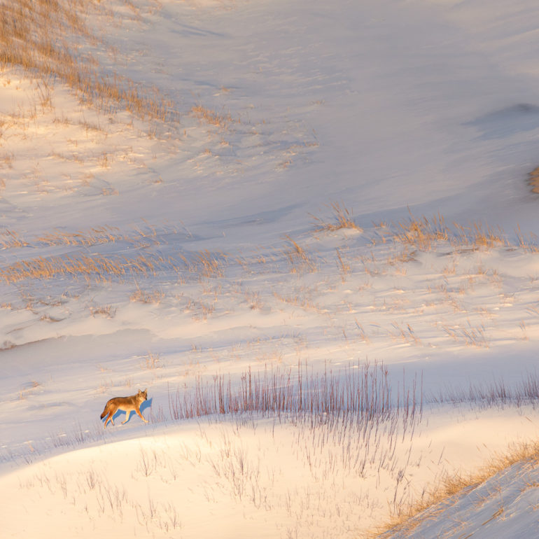 Sangram Kachwaha Photography