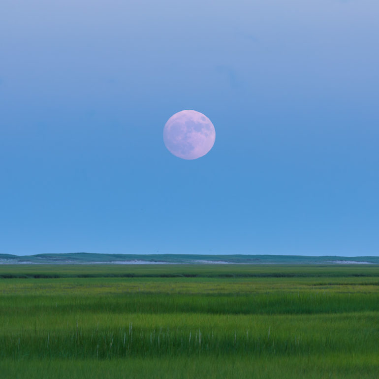 Sangram Kachwaha Photography