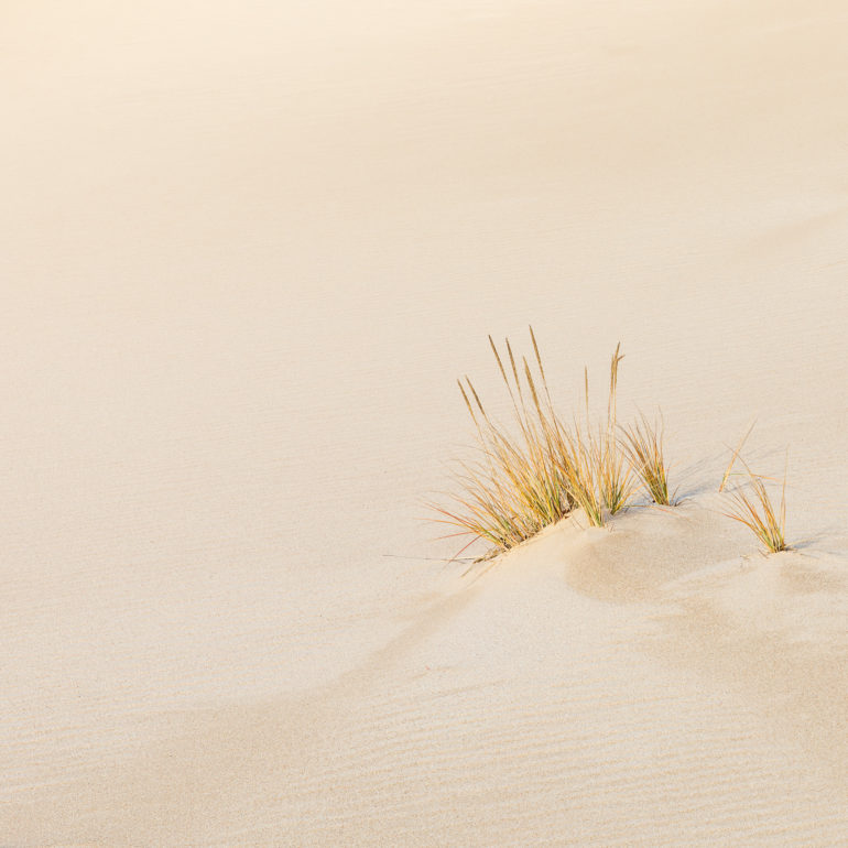 Sangram Kachwaha Photography