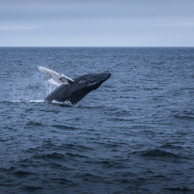 Sangram Kachwaha Photography