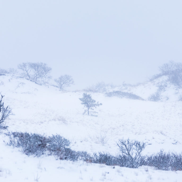 Sangram Kachwaha Photography