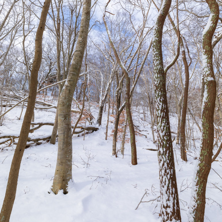 Sangram Kachwaha Photography