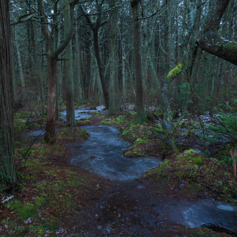 Sangram Kachwaha Photography