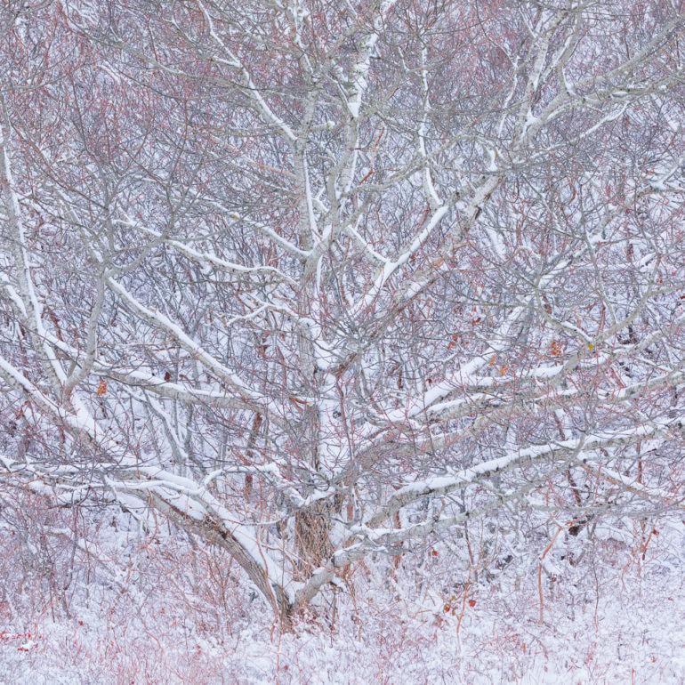 Sangram Kachwaha Photography