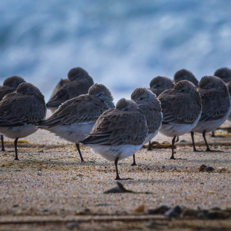 Sangram Kachwaha Photography