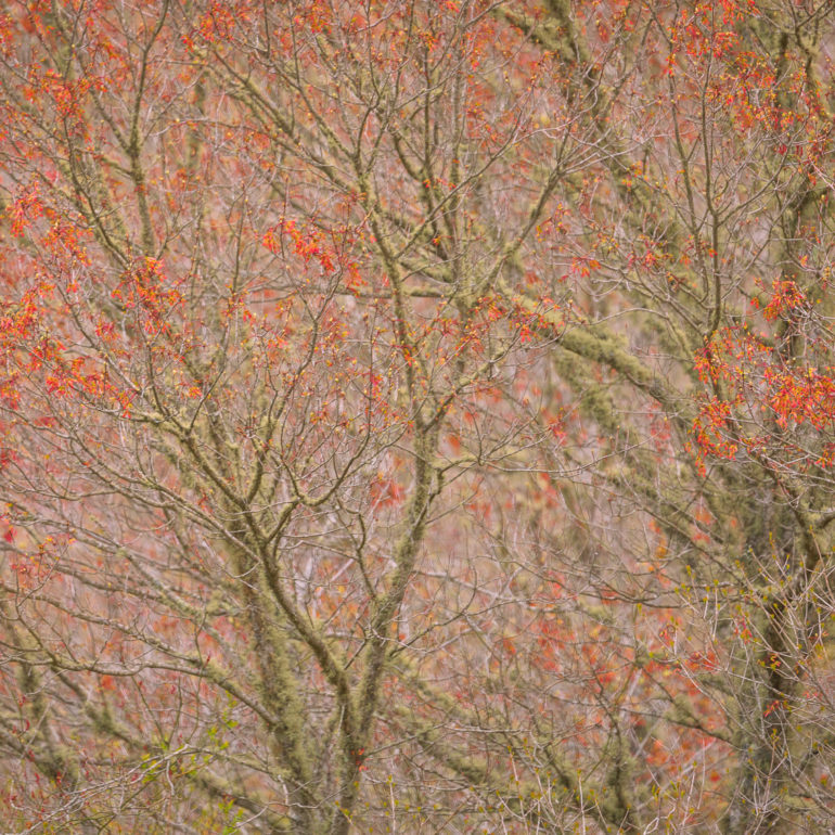 Sangram Kachwaha Photography