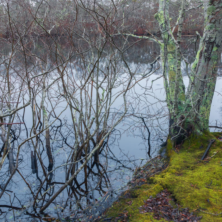 Sangram Kachwaha Photography