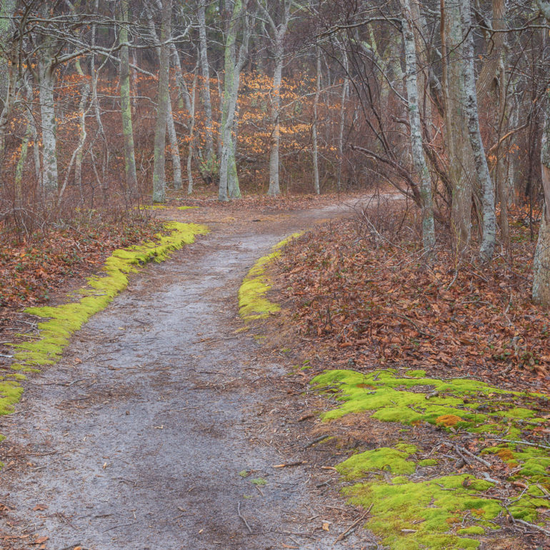 Sangram Kachwaha Photography