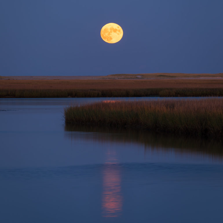 Sangram Kachwaha Photography