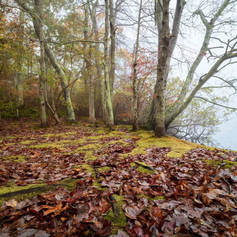 Sangram Kachwaha Photography