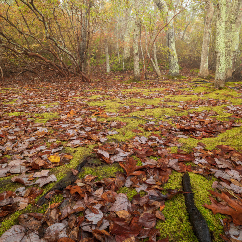 Sangram Kachwaha Photography