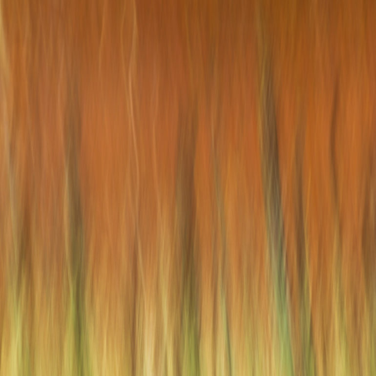 Sangram Kachwaha Photography