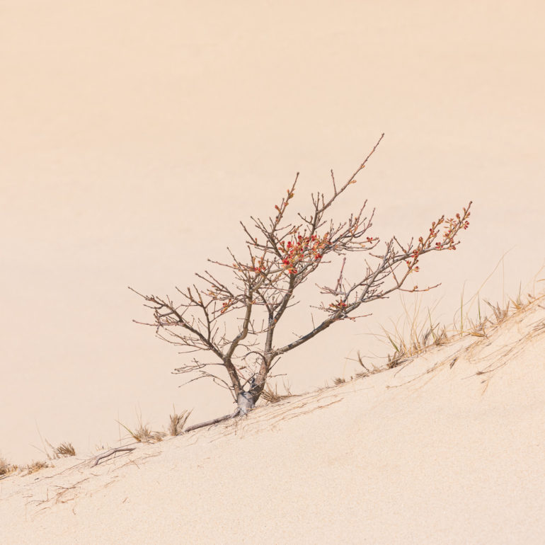 Sangram Kachwaha Photography