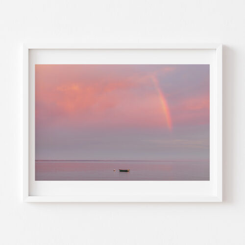 Harbor Rainbow
