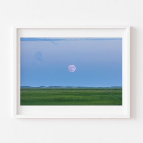 Marsh Moon