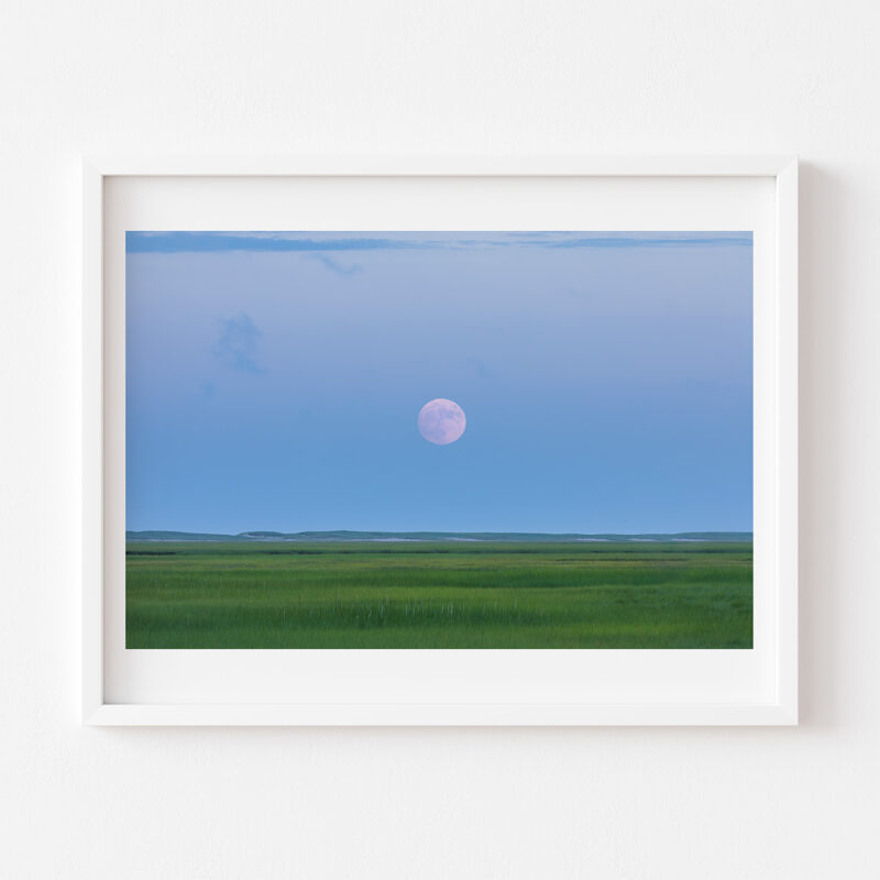 Marsh Moon